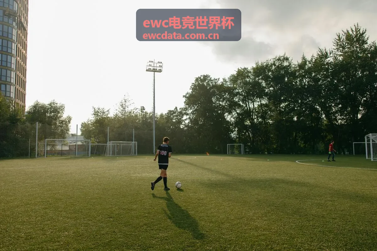 ewc电竞世界杯DOTA2专区封面